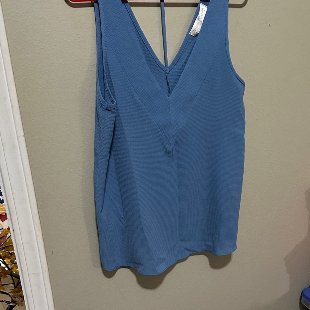 Blue Sleeveless V-Neck Top
